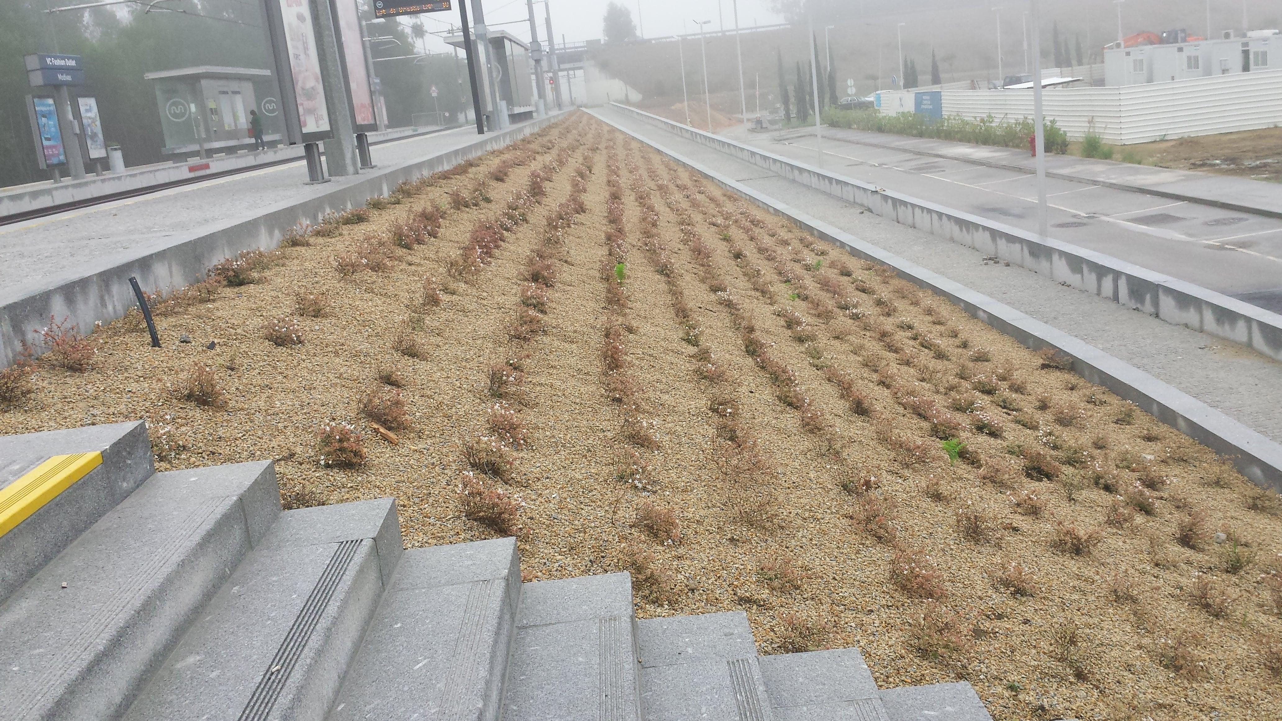 Estação do Metro – Modivas